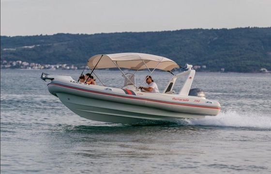 Barracuda 590