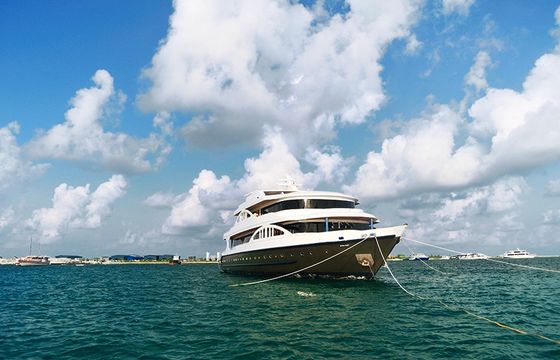 M/Y Orion