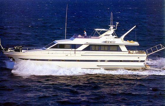 Amphitrite K.Y.