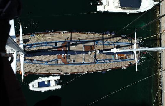 Lady Sail