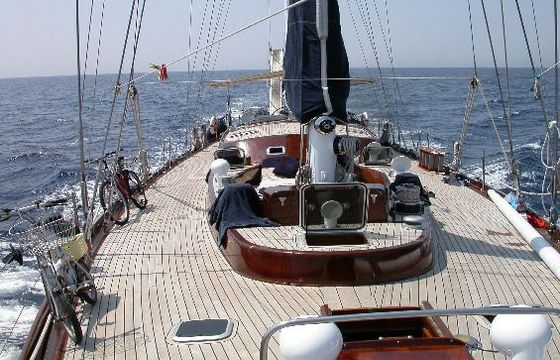 Lady Sail
