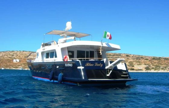 Blue Lady