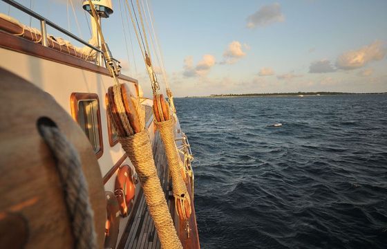 Dream Voyager
