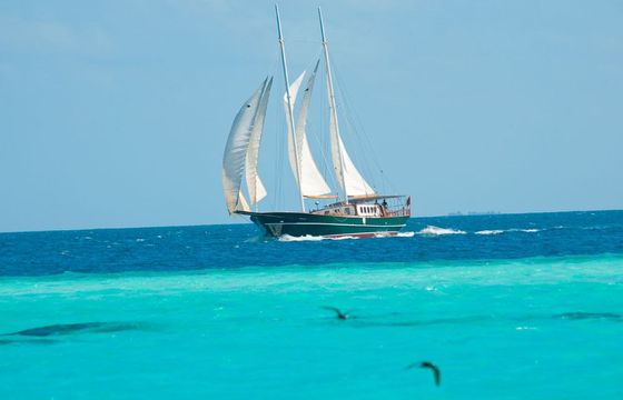 Dream Voyager