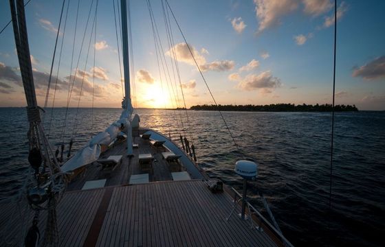 Dream Voyager