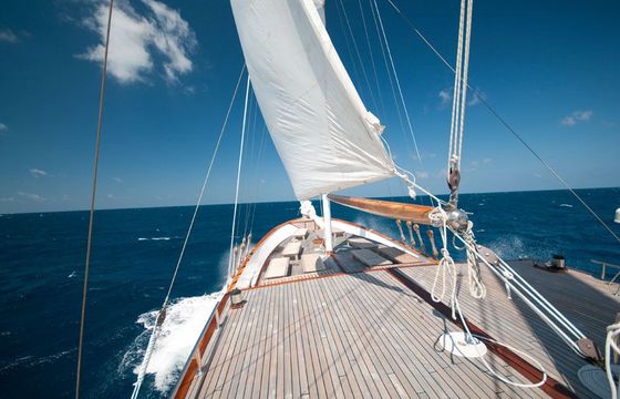 Dream Voyager