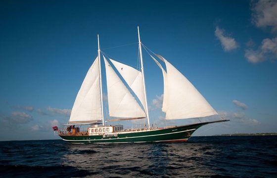 Dream Voyager
