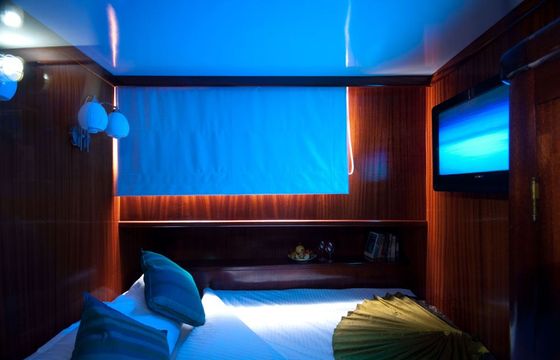 Dream Voyager