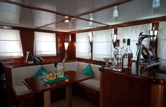 Dream Voyager