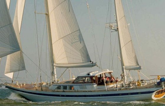 Sailing T
