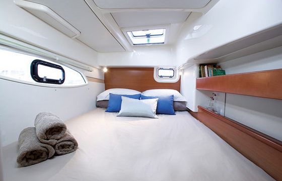 Leopard 38