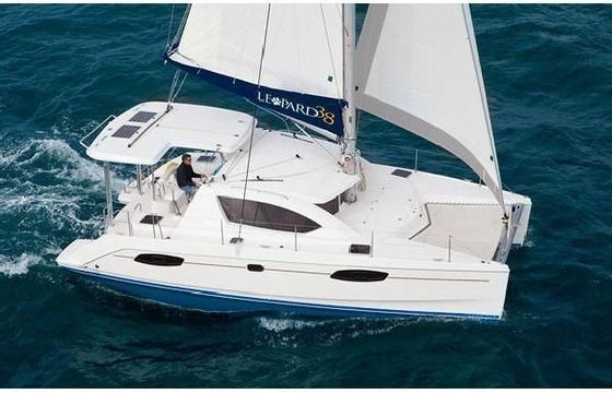 Leopard 38