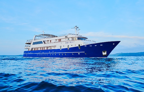 LUPUS MARE