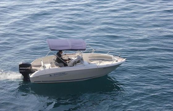 Quicksilver Commander 600