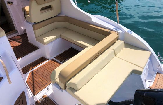 Salpa Laver 23x