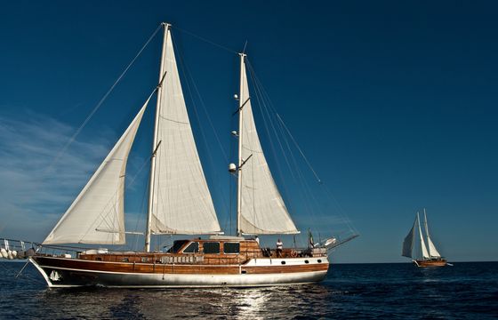 SILVER STAR II