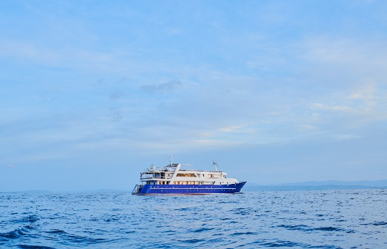 Lupus Mare