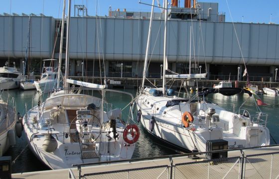 Tecno Sail
