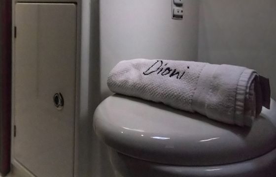 Dioni
