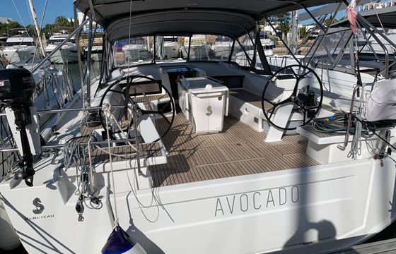 Avocado