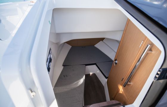 Nauti One