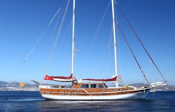 Perrinita