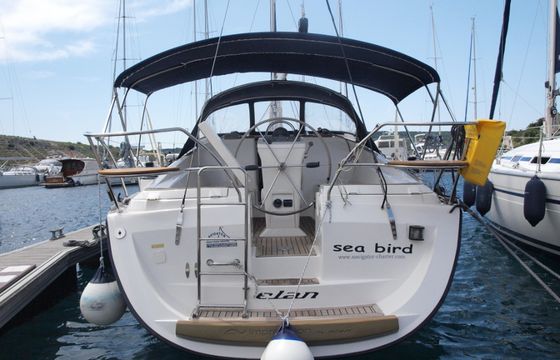 Sea Bird