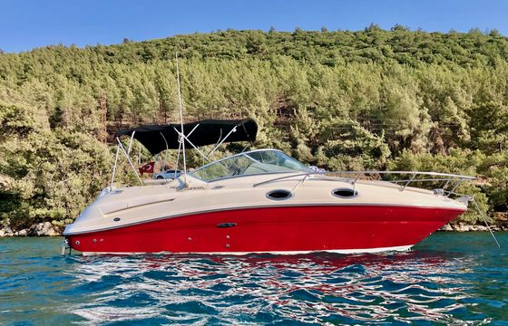 Sea Ray Sundancer 240