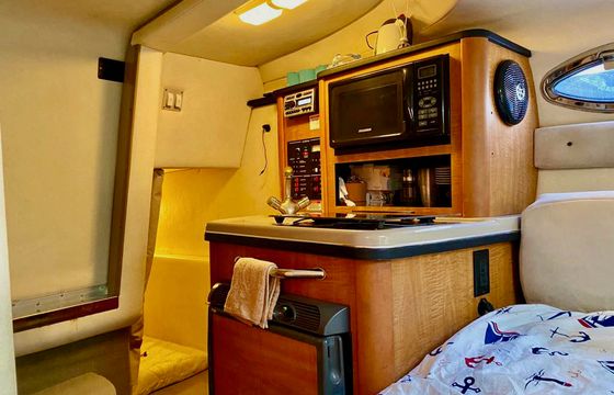 Sea Ray Sundancer 240