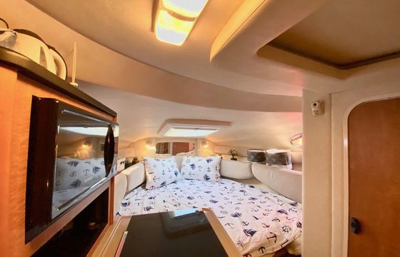 Sea Ray Sundancer 240