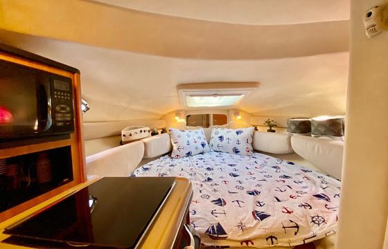 Sea Ray Sundancer 240