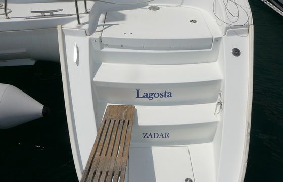 LAGOSTA !Low budget cat!
