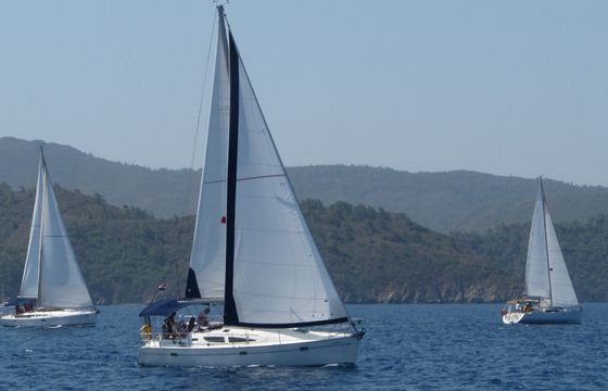 Balina