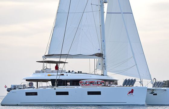 ADRIATIC LION