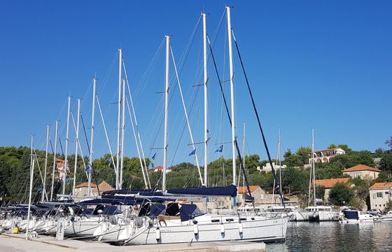 SAMOGON