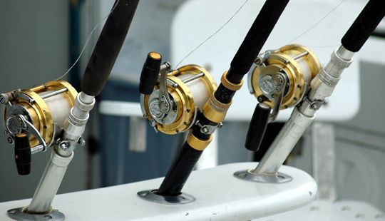 RODMAN 12.5 FLYBRIDGE