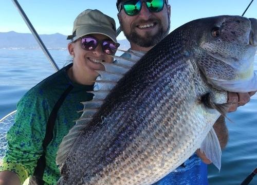 RODMAN 12.5 FLYBRIDGE