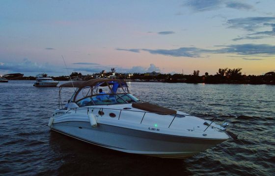 Miami Boss