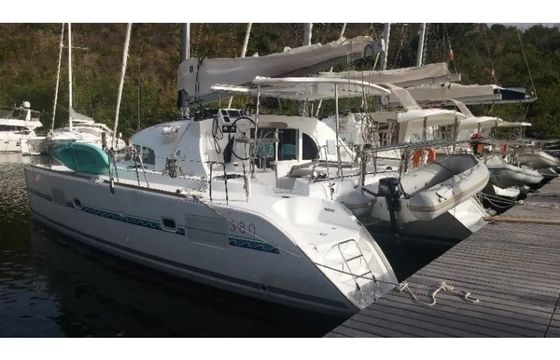 WHY KNOT (1 SUP free of charge)