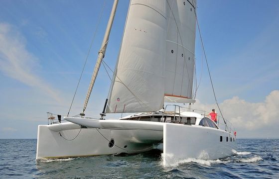 d Aonyx