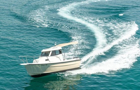 Fortis 590C