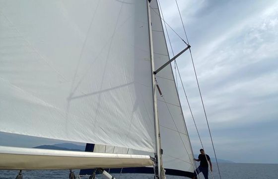 Velero