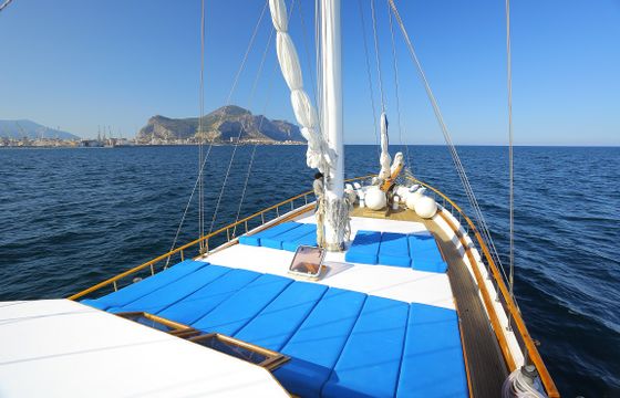 Pallas-Livretto