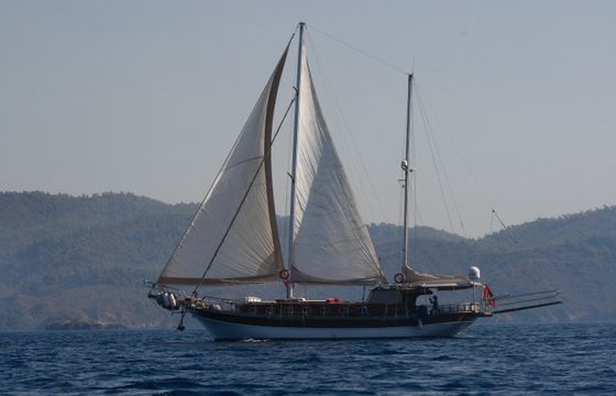 Daphne S