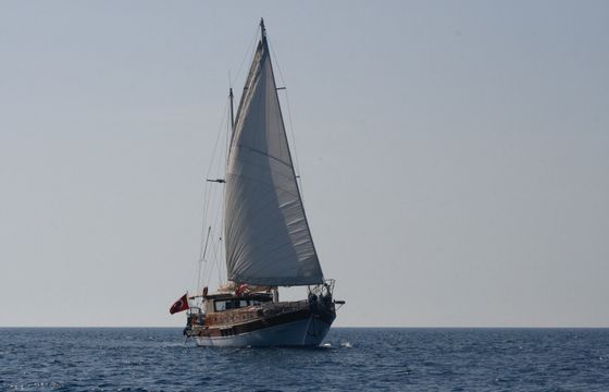 Daphne S
