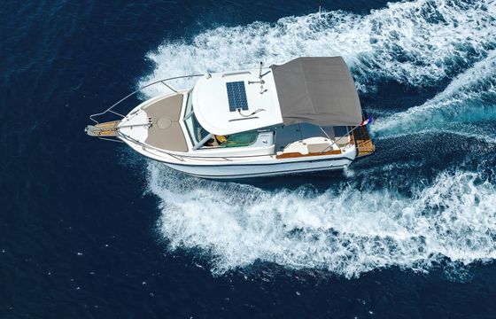 Timonier 715
