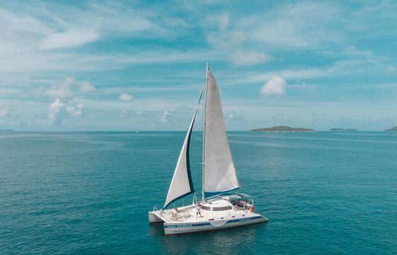 Amadeus Mumby 48 - Cabin Charter