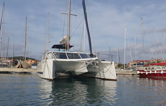 UPWIND 50 ECO