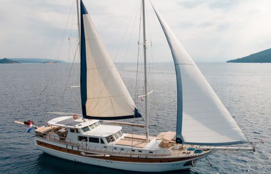 Sea Breeze