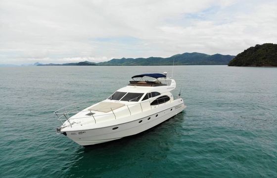 Princess 54